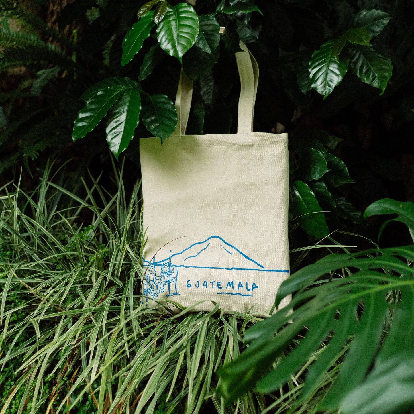 Totebags - Diseños Variados